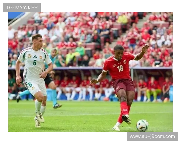 瑞士乡村足球：草地上的比赛和激情